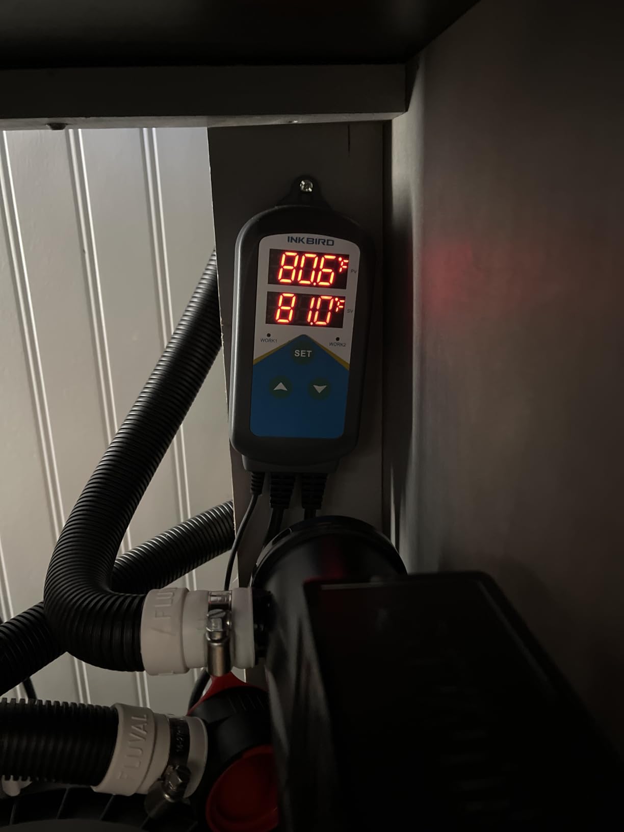 Inkbird Aquarium Heater with Probe Thermostat Fish Ornamental Shrimp Reef Tanks 24 Hours Double Time with Day Night Automatic Temperature Controller customer photo 1