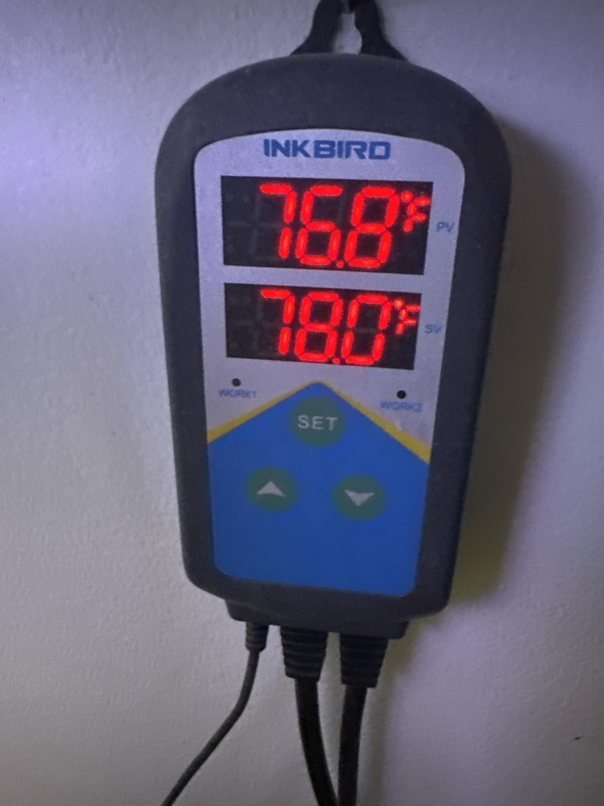 Inkbird Aquarium Heater with Probe Thermostat Fish Ornamental Shrimp Reef Tanks 24 Hours Double Time with Day Night Automatic Temperature Controller customer photo 2
