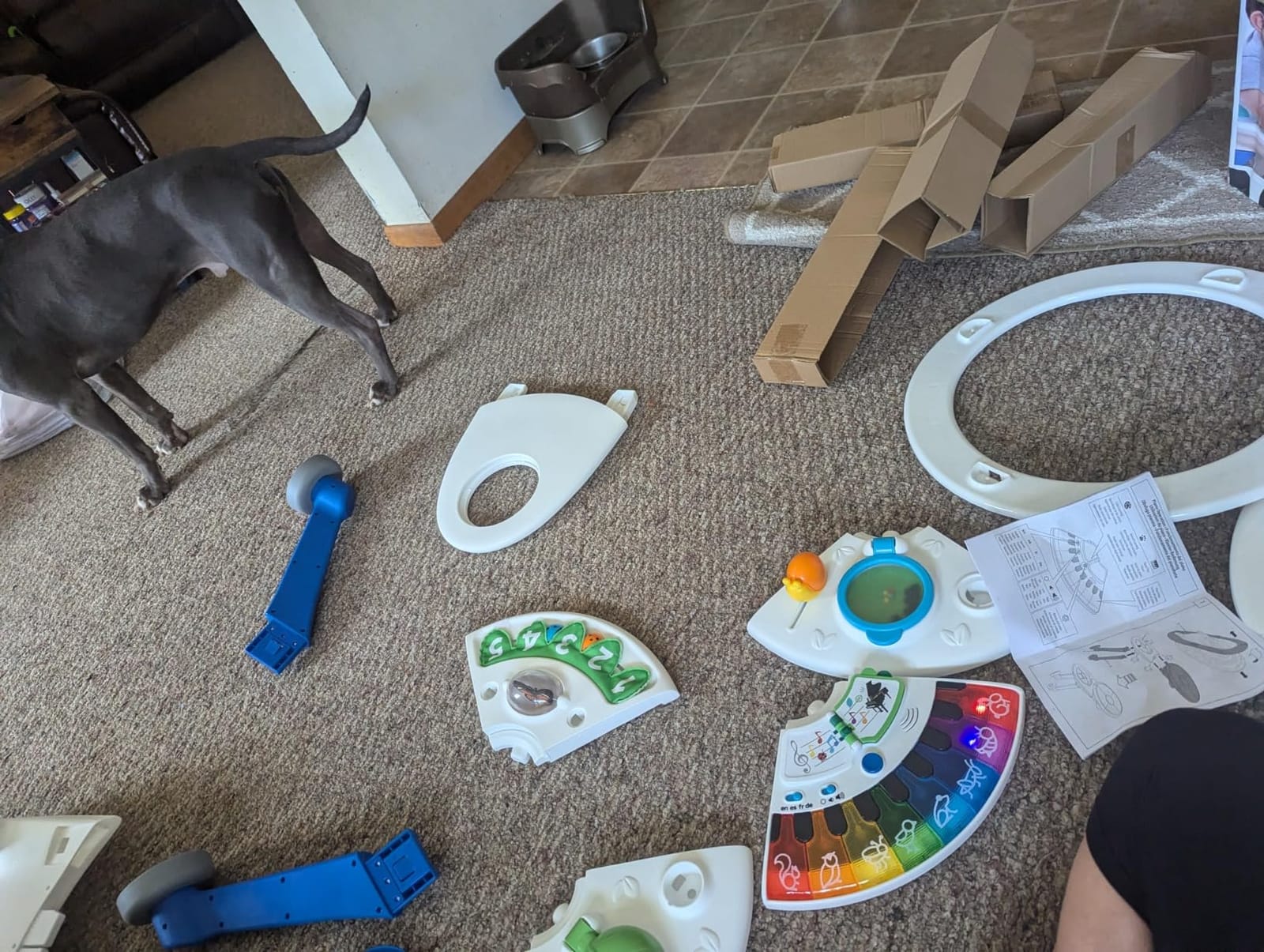 Baby Einstein 4-in-1 Activity Center & Walker with Piano, Age 6M+ customer photo 2
