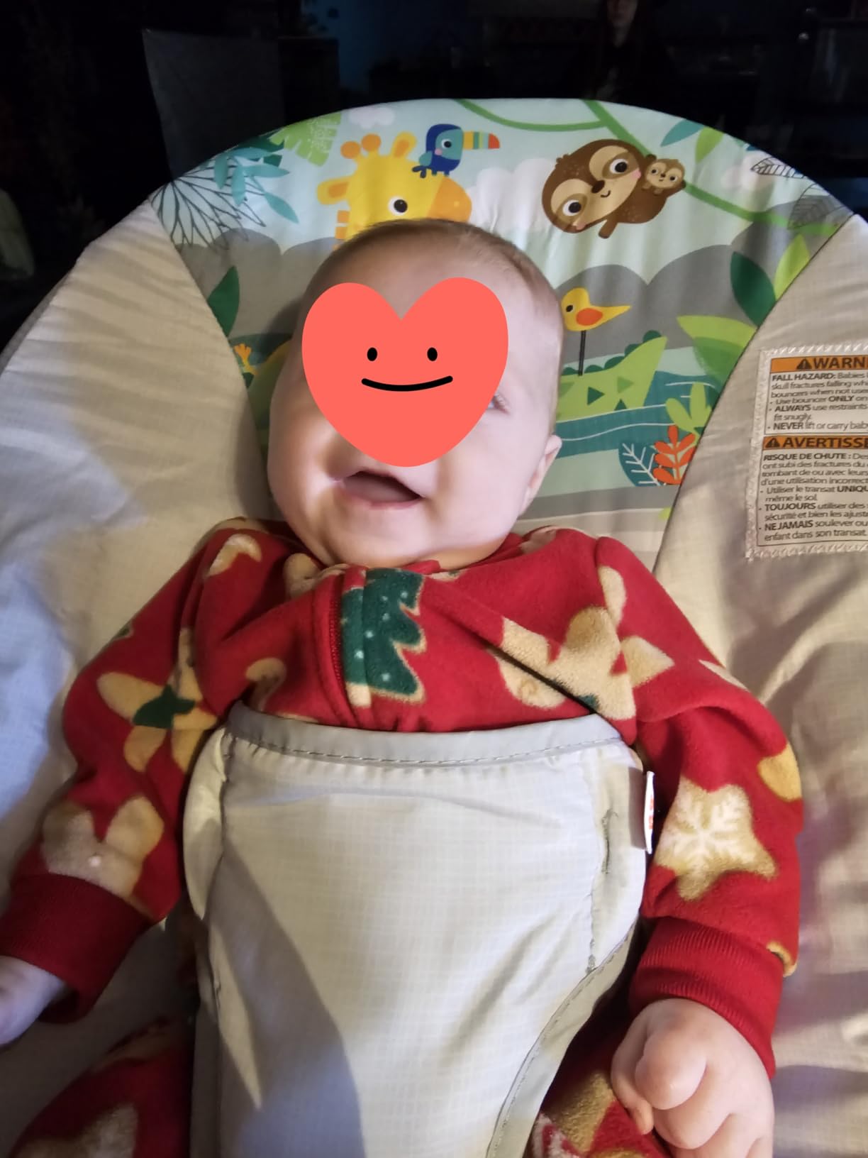 Bright Starts Baby Bouncer Soothing Vibrations Infant Seat - Removable Toy Bar, Nonslip Feet, 0-6 Months Up to 20 lbs (Safari Fun) customer photo 2