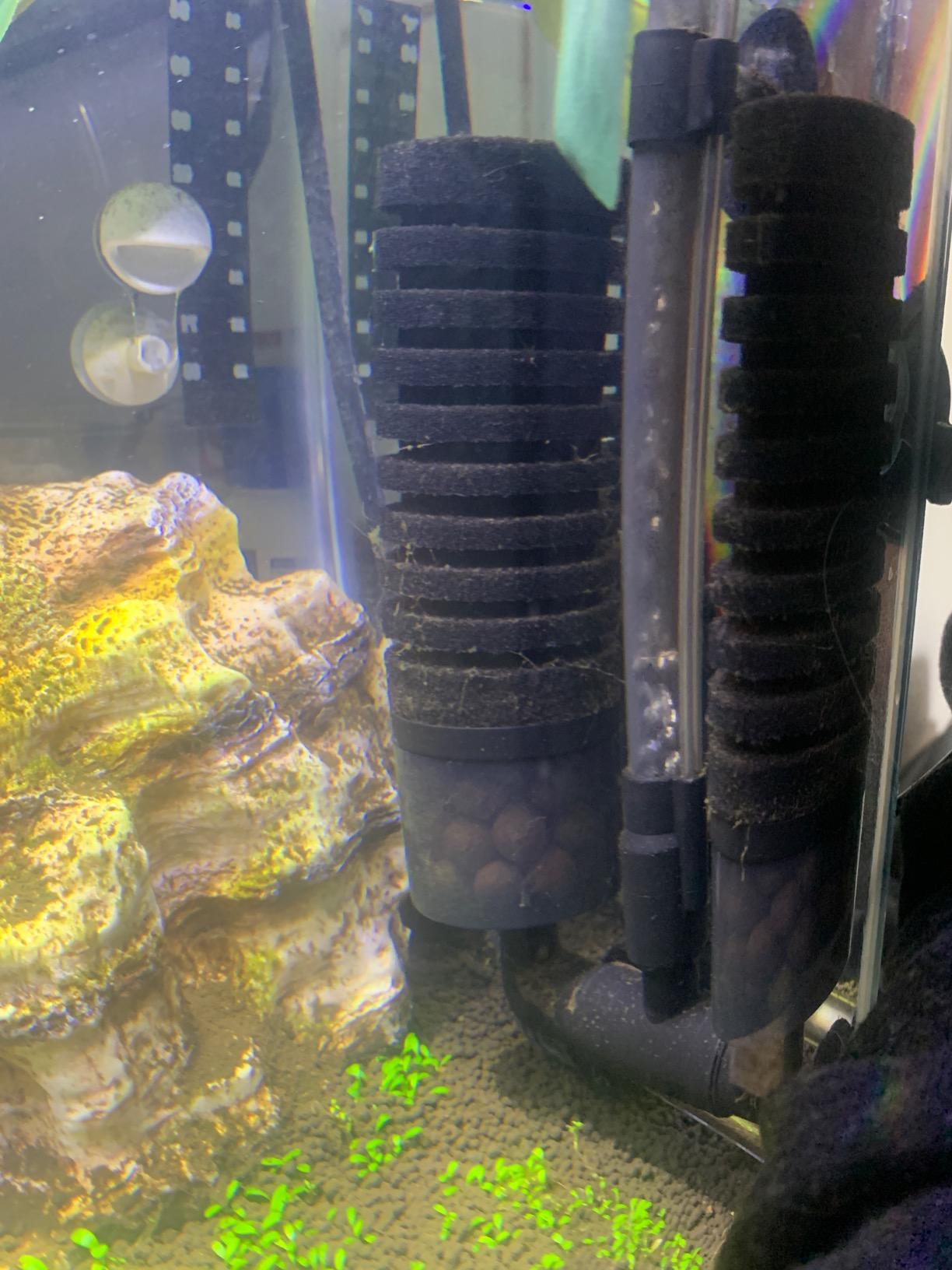 Hygger Aquarium Double Sponge Filter, Comes with 2 Spare Sponges, 1 Bag of Bio Ceramic Media Balls, Quiet Submersible Foam Filter for Fresh Water and Salt-Water Fish Tank (S) customer photo 1