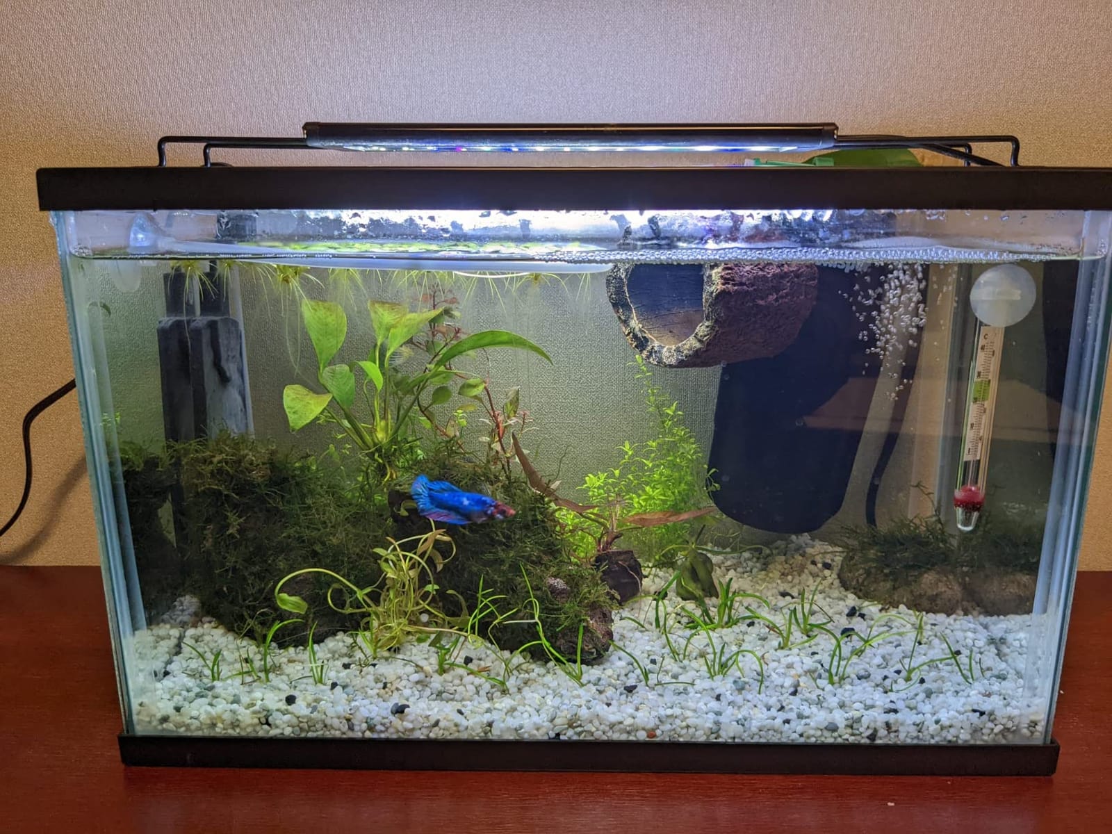 AQUANEAT LED Aquarium Light Full Spectrum 17 Inch Light Body with Extendable Brackets for 18 Inch to 24 Inch Fish Tank Light Fresh Water customer photo 2