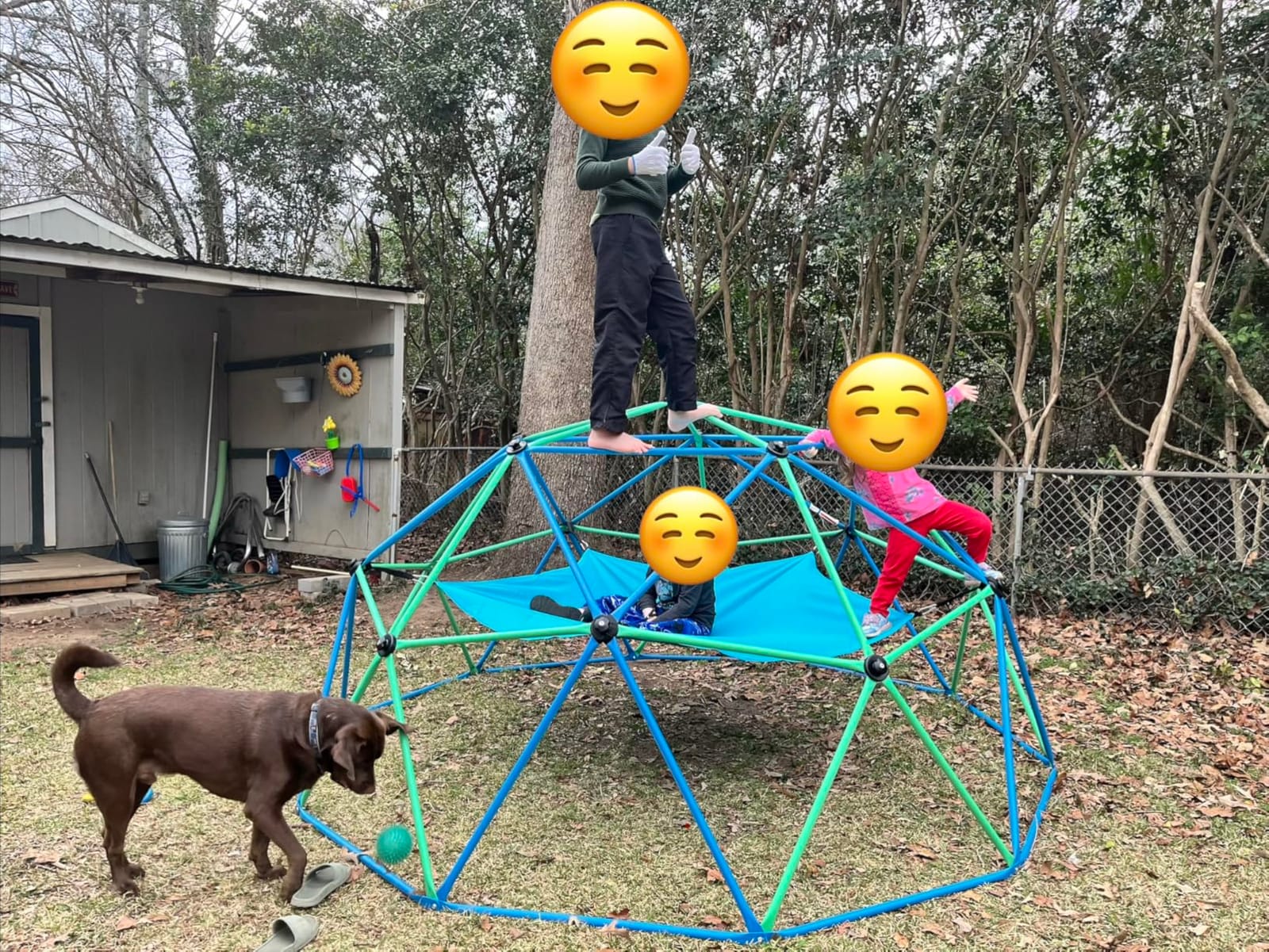 Zupapa 10FT Climbing Dome, Outdoor Jungle Gym for Kids with Climbing Grip - Geometric Dome Climber Outdoor Playset and Easy Assembly Outdoor Play Equipment for Kids (Blue, 10FT) customer photo 1