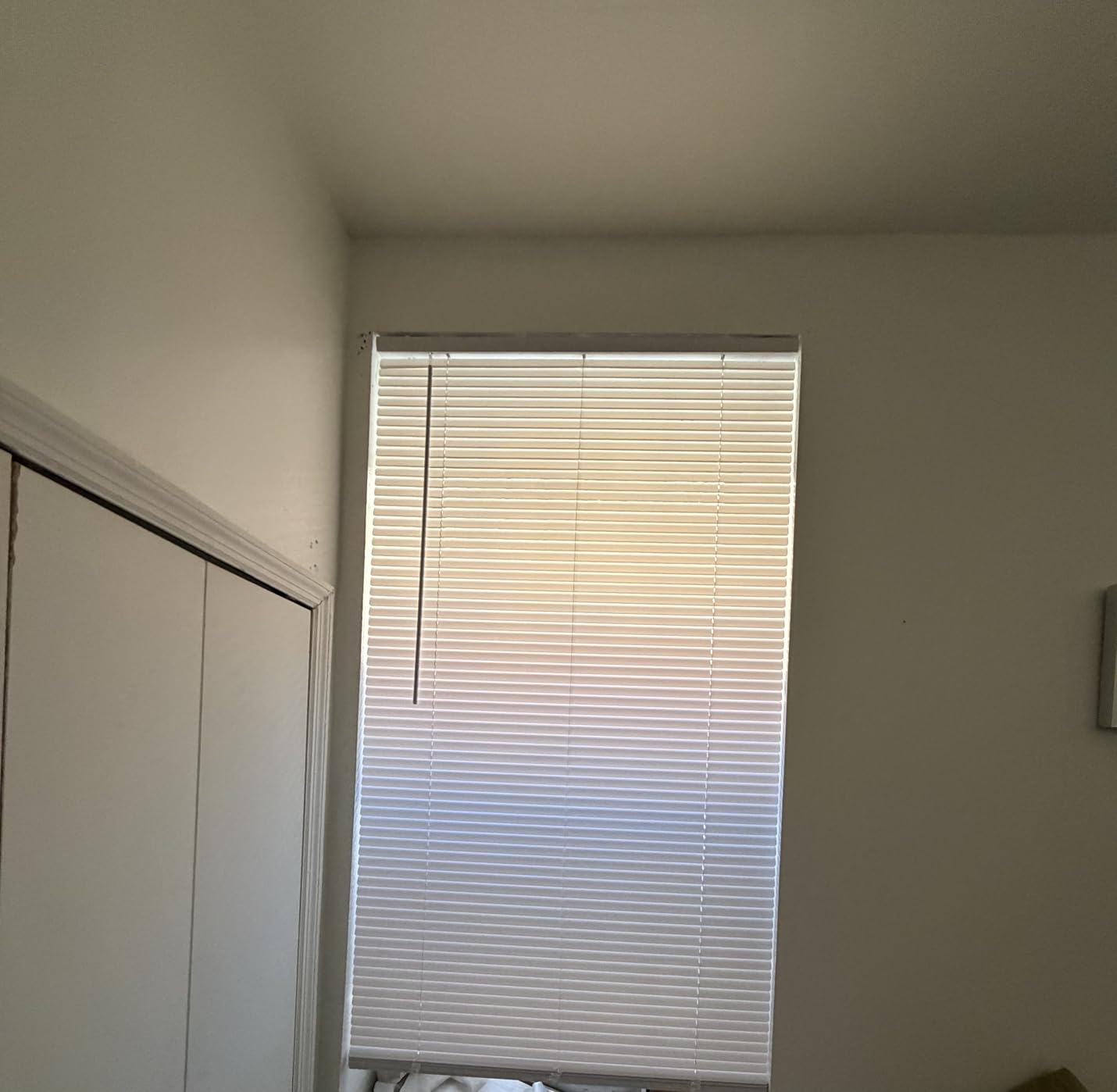 CHICOLOGY Cordless Mini Blinds for Indoor Windows, 47