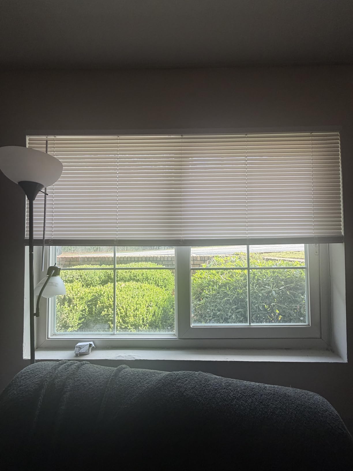 CHICOLOGY Cordless Mini Blinds for Indoor Windows, 47
