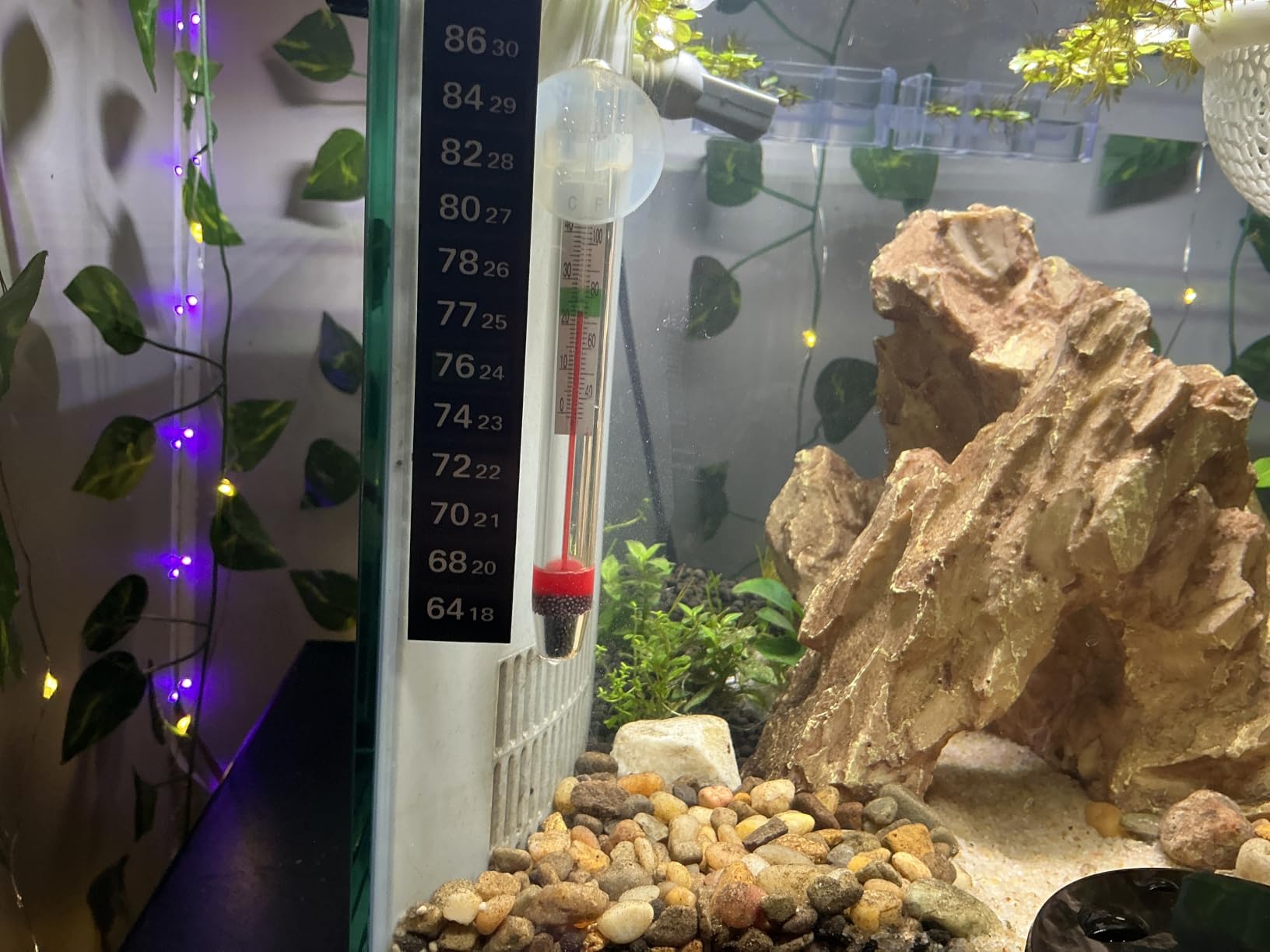 PULACO 25Watt Mini Aquarium Heater, Submersible Betta Heater customer photo 1