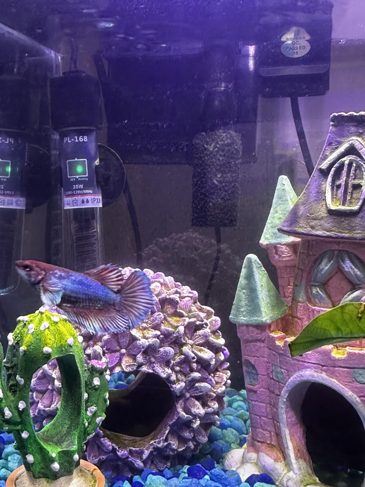 PULACO 25Watt Mini Aquarium Heater, Submersible Betta Heater customer photo 2