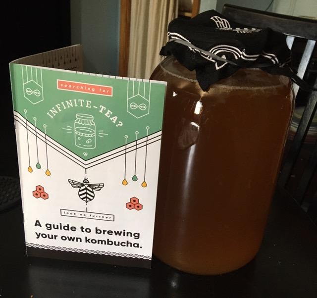 Craft A Brew Home Brewing Starter Kit Kombucha Tea Kit - Home Kombucha Kit - Fermentation Starter with Kombucha SCOBY - 1 Gallon customer photo 1
