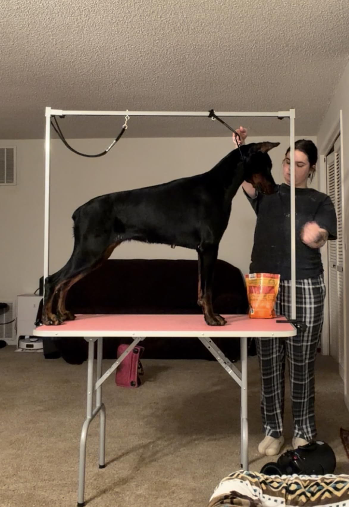 Yaheetech 46'' Dog Grooming Table for Large Medium Dogs at Home, Black | Portable Pet Grooming Table with Arm & Nooses, Foldable Design, Non-Slip Surface, Mesh Storage Tray, 264lbs Capacity customer photo 2