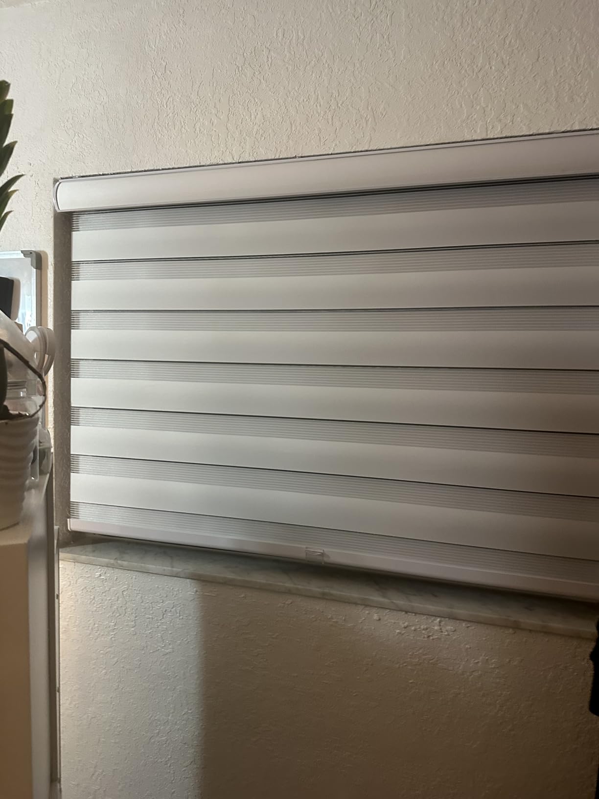 CHICOLOGY Zebra Blinds Cordless, Light Filtering, White Shade, 34W x 72H | Dual Layer Zebra Shade, Light Filtering for Windows, Cordless Child Safe, Inside Outside Mount, Bedroom Living Room customer photo 2