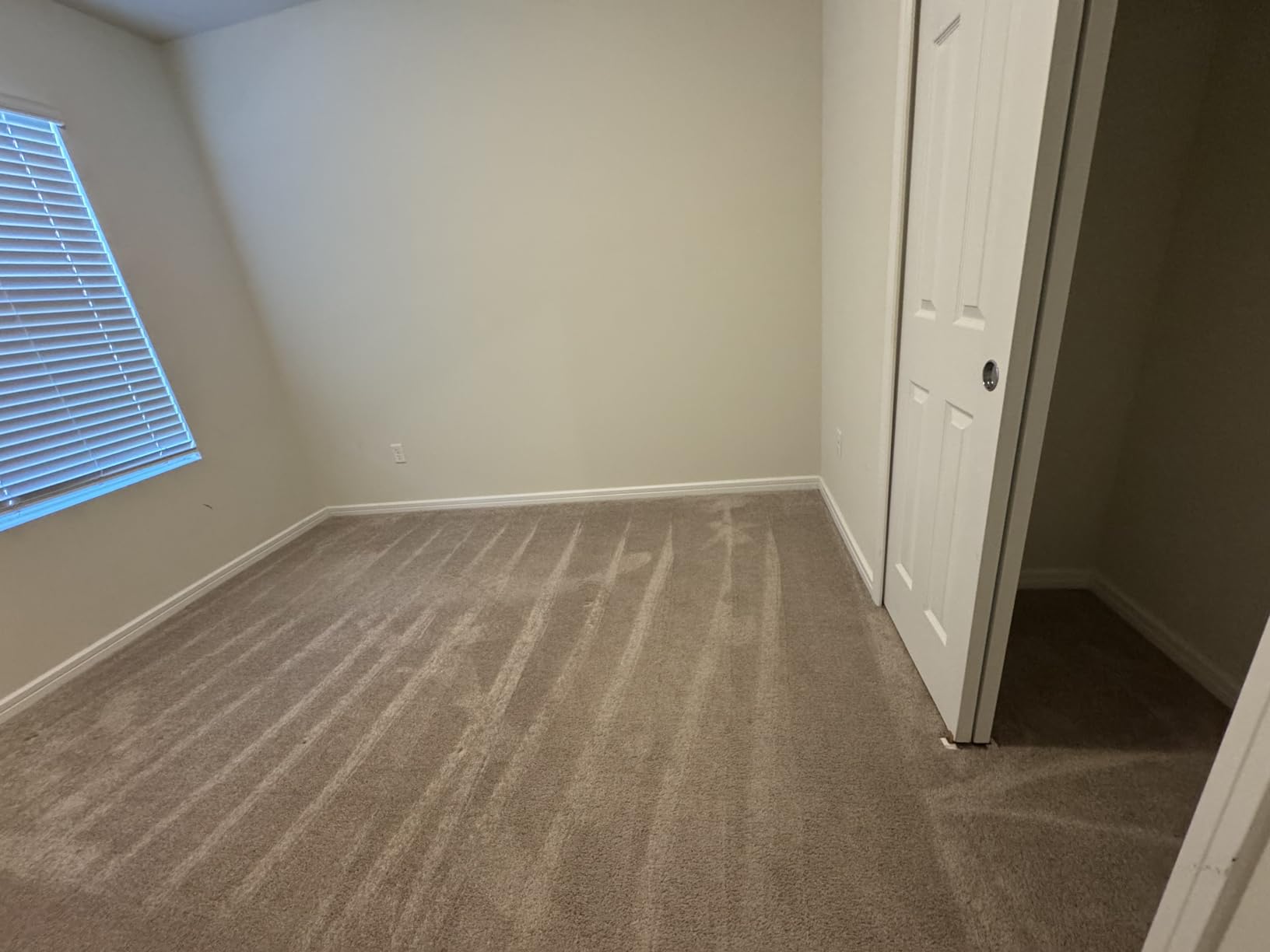 Rug Doctor Mighty Pro X3 Commercial Carpet Cleaner with Oxy Cleaner Pack customer photo 1