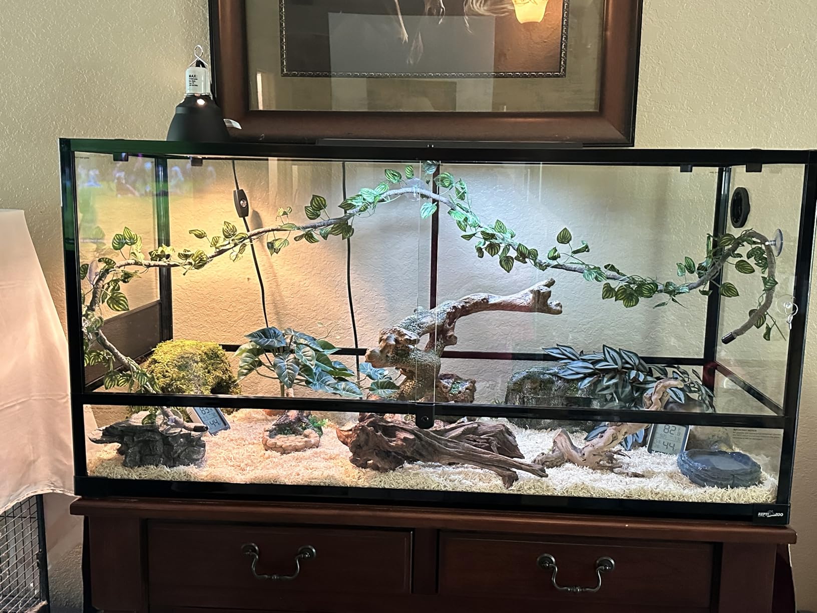 REPTI ZOO 85 Gallon Large Reptile Tank, Wide & Tall Tempered Glass Large Reptile Terrarium 47.2