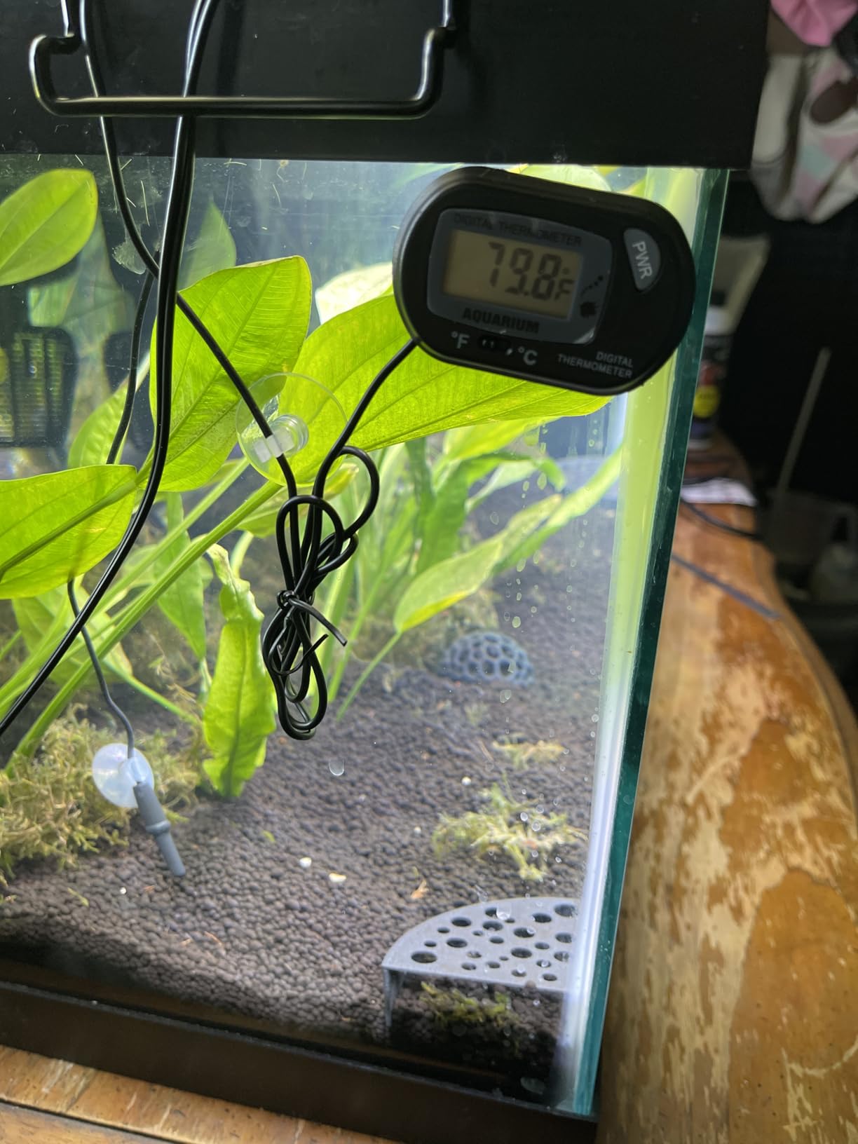 Orlushy Submersible Aquarium Heater,500W Fish Tank Heater with Adjust Knob Thermostat 2 Suction Cups and Free Thermometer Suitable for Marine Saltwater and Freshwater customer photo 1
