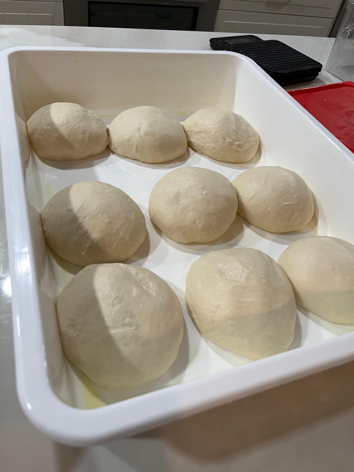 Pizza Dough Proofing Box, Commercial Grade 17.25