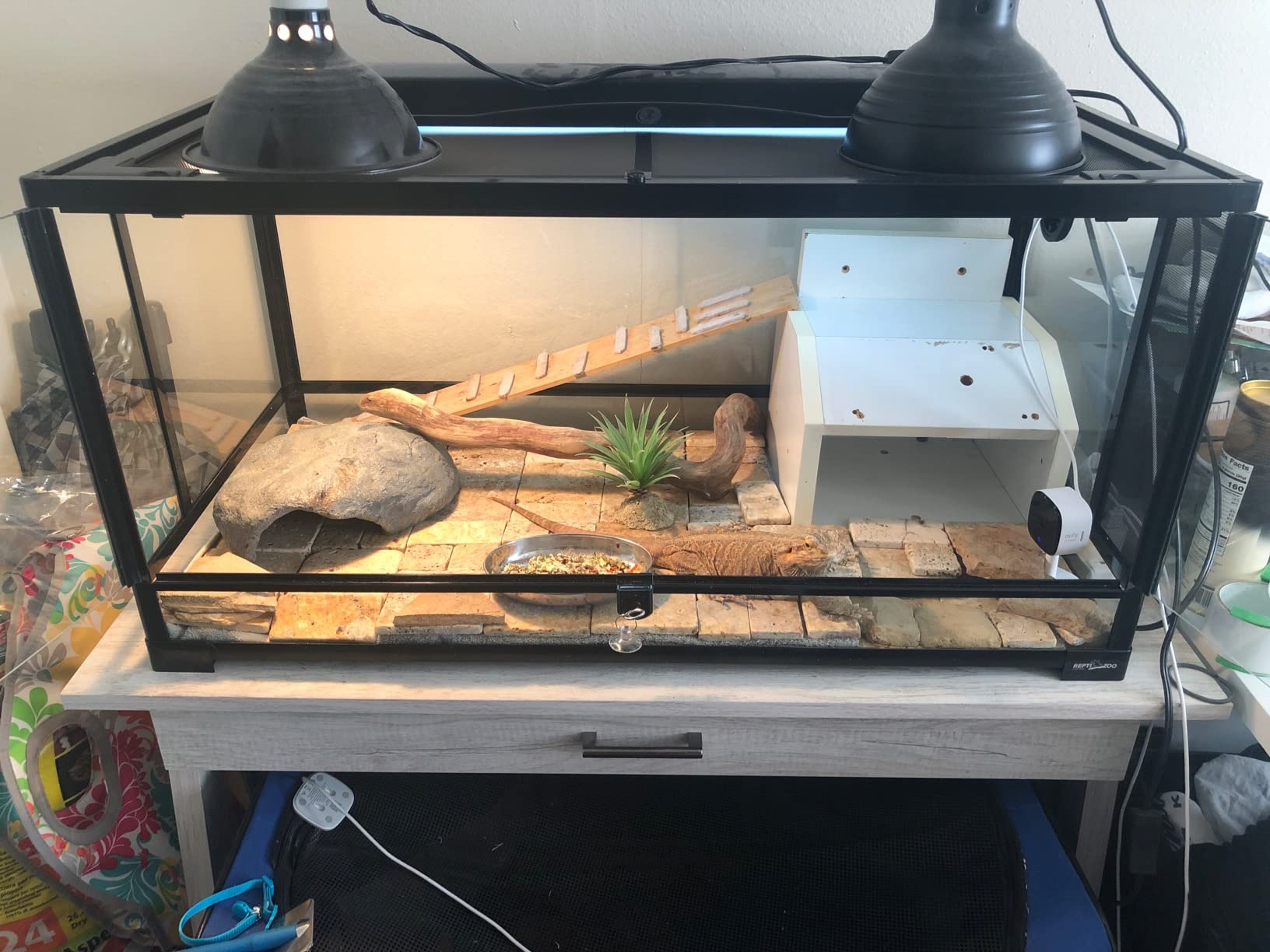 REPTI ZOO 50 Gallon Reptile Glass Tank Terrarium 2 in 1 Side Meshes and Side Glasses Double Hinge Door with Screen Ventilation Tempered Glass 36