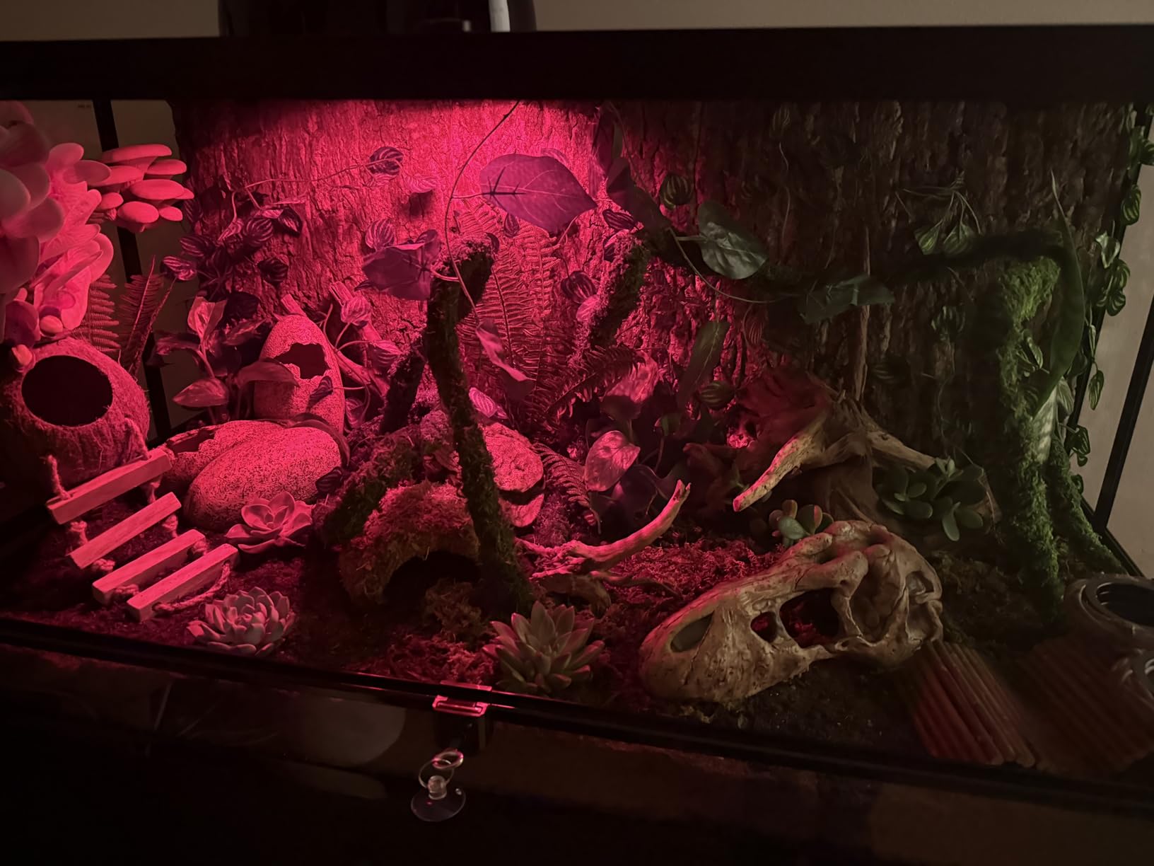 REPTI ZOO 50 Gallon Reptile Glass Tank Terrarium 2 in 1 Side Meshes and Side Glasses Double Hinge Door with Screen Ventilation Tempered Glass 36