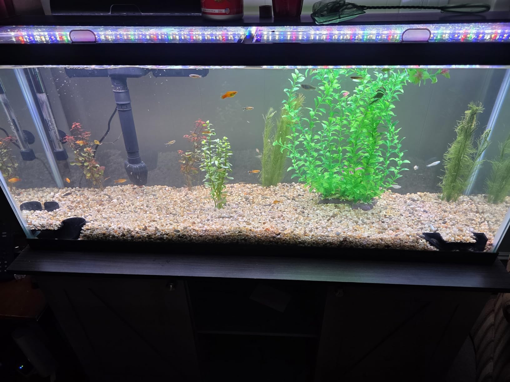 hygger 42W 24/7 Lighting Aquarium LED Light, Sunrise-Daylight-Moonlight Mode and DIY Mode, Timer Adjustable Brightness Fish Tank Light with Extendable Bracket 7 Colors for Planted Tank customer photo 1
