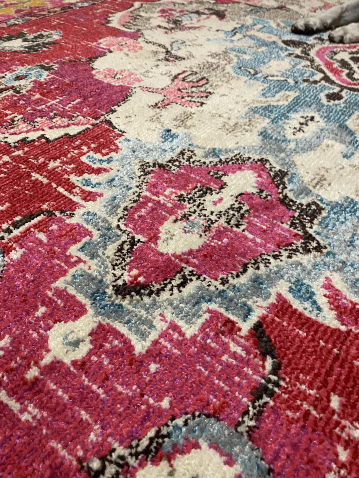 SAFAVIEH Monaco Area Rug 8x10, Large Ivory & Blue MNC243A | 3/8