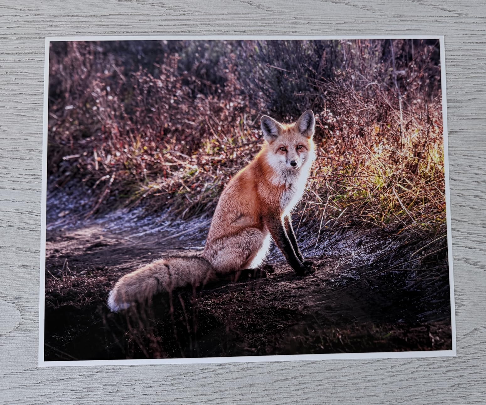 EcoTank Photo ET-8550 Wireless Wide-Format All-in-One Tank Printer | Cartridge-free 6-color wide-format photo print, scan, copy; up to 16 ppm, 13 x 19 in.; ideal for creators and home studios customer photo 1