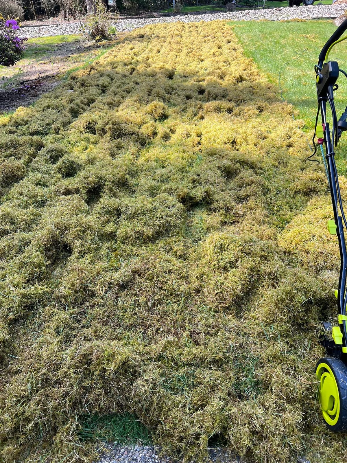 Sun Joe 15-Inch Lawn Dethatcher with Scarifier Blade Reel, AJ805E and Collection Bag - 13-Amp Corded Yard Power Rake Tool Machine for Grass Thatch Removal, Electric Powered customer photo 1