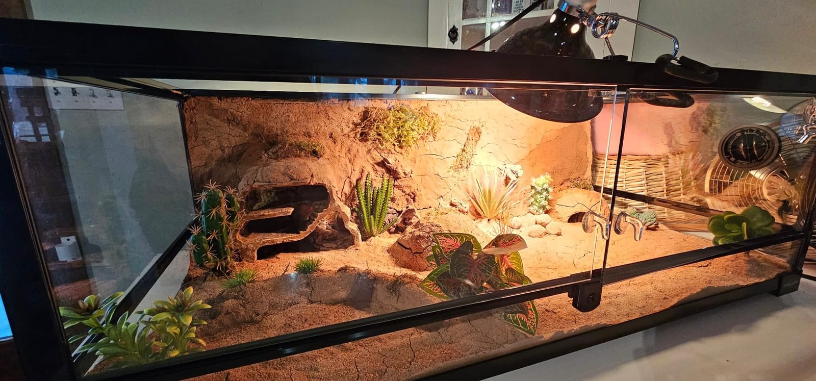 REPTI ZOO Full Glass 35 Gallon Reptile Tank, Front Opening Wide & Low Reptile Terrarium 36