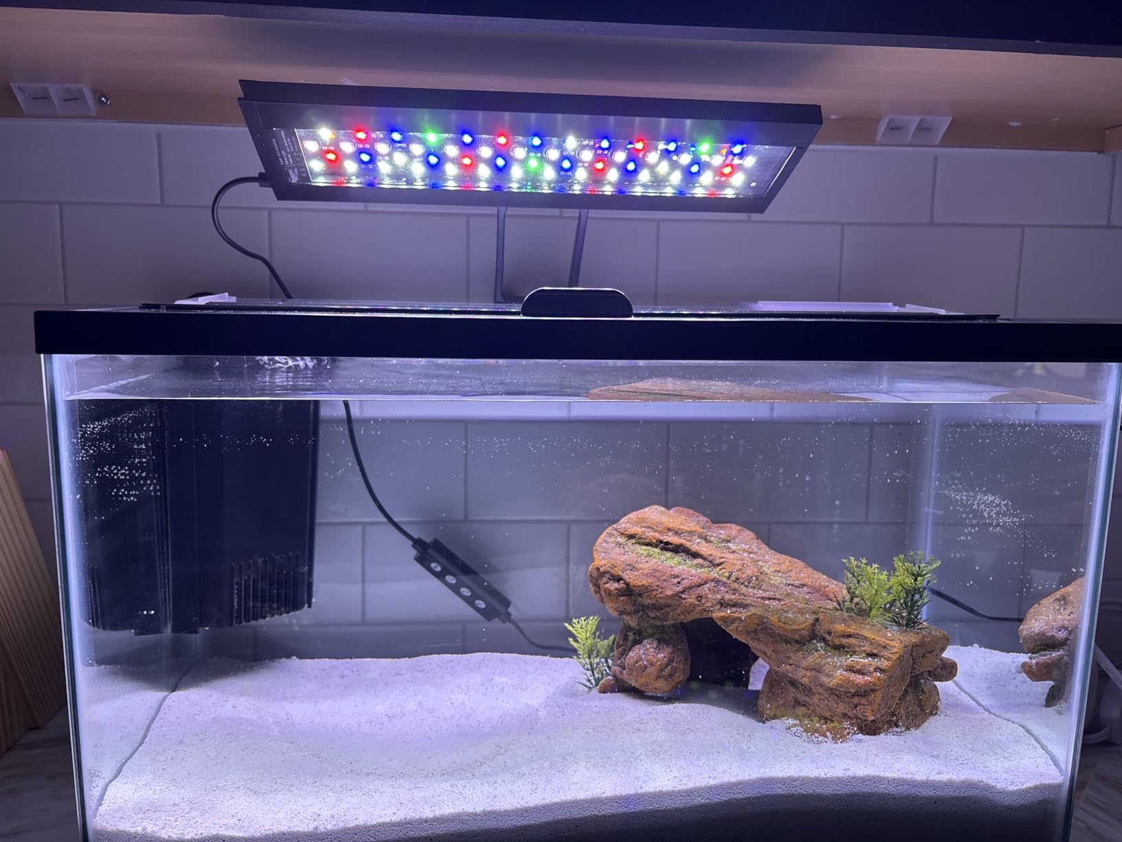 hygger Clip On 24/7 Lighting Aquarium LED Light, Sunrise-Daylight-Moonlight and DIY Mode, Adjustable Timer/Brightness Fish Tank Light with 7 Colors for Planted Tank (14W for 12~20in Tank) customer photo 1
