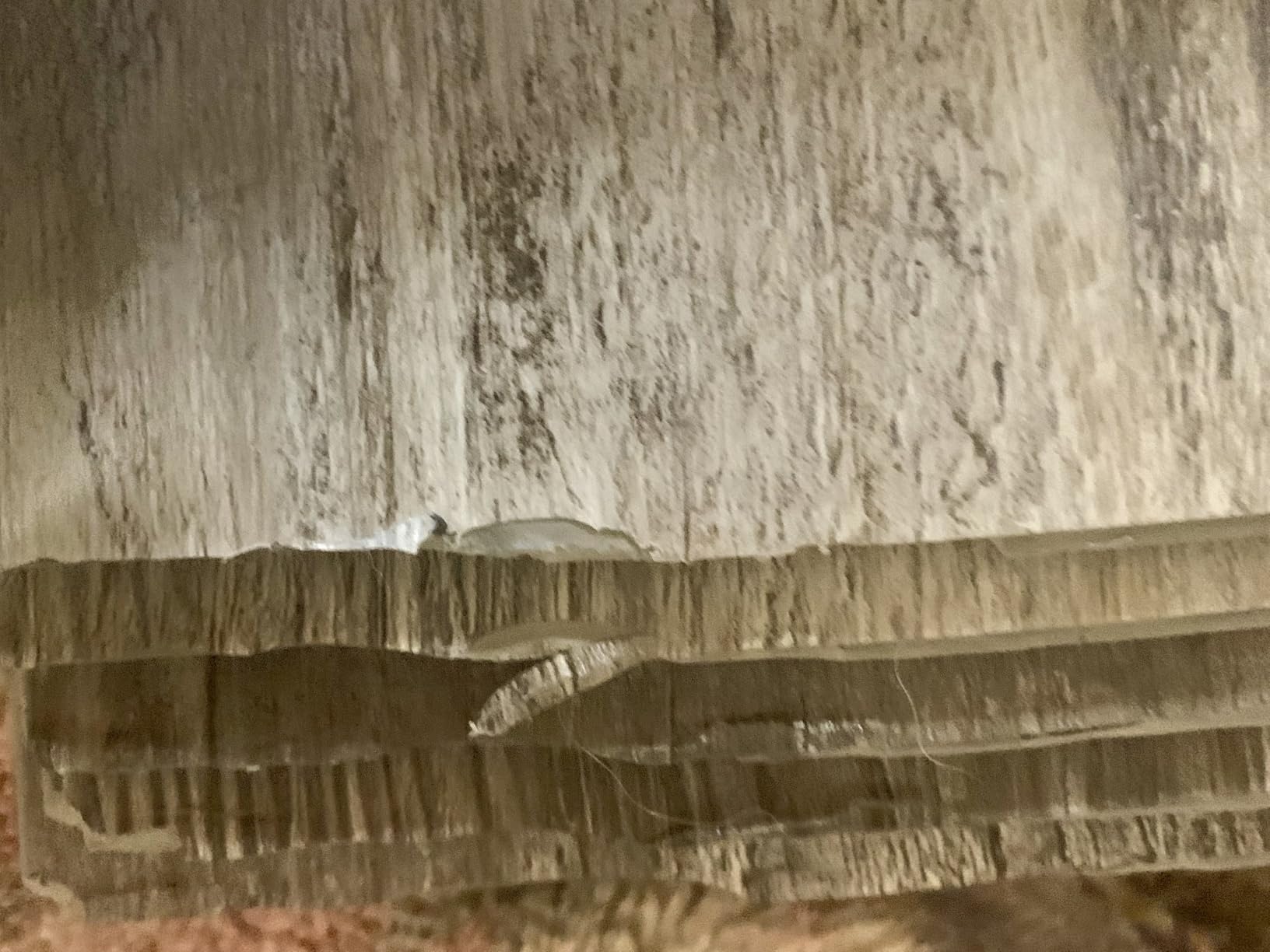 MSI McKenna XL 9in. x 60in. Gaboon Gray-Light Waterproof Rigid Core LVT customer photo 1