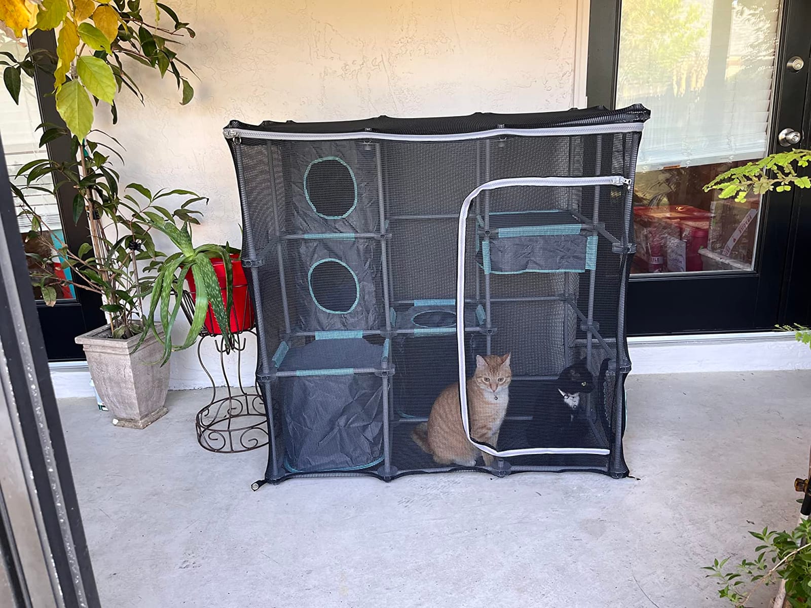 Kitty City Outdoor Catio Furniture and Play Kits for Cats, Outdoor Mega Kit customer photo 1