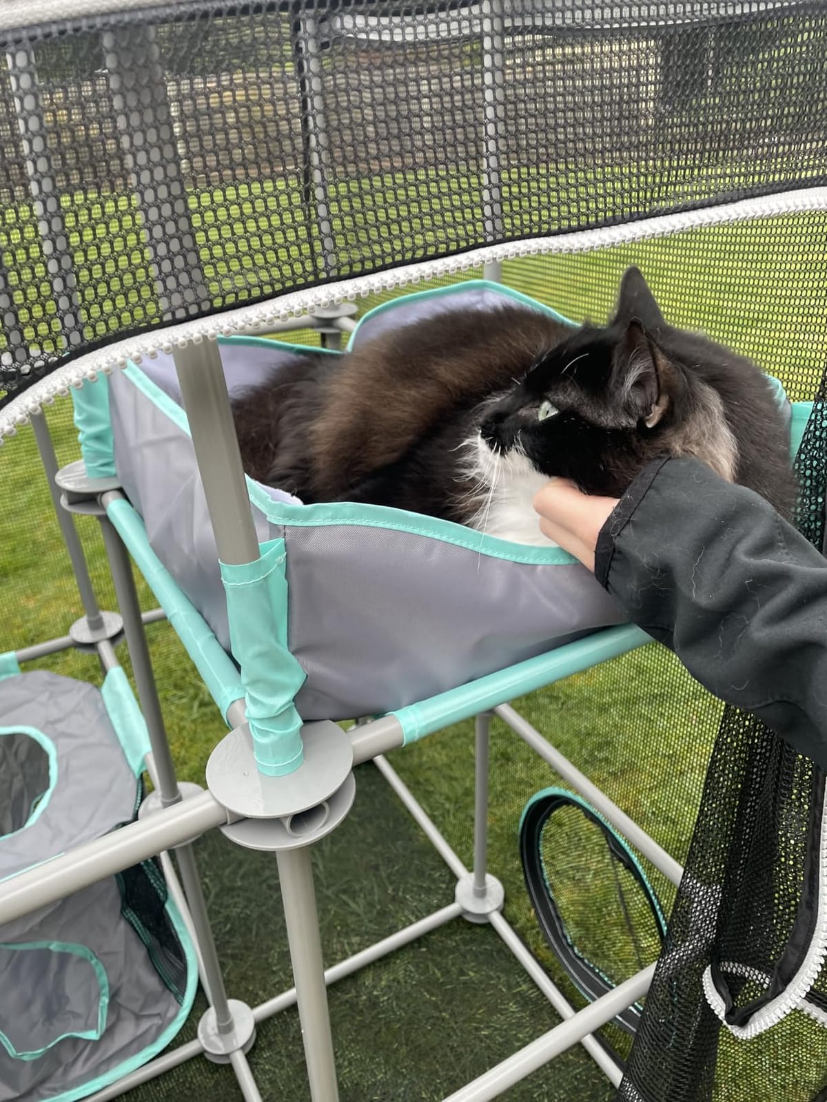 Kitty City Outdoor Catio Furniture and Play Kits for Cats, Outdoor Mega Kit customer photo 2