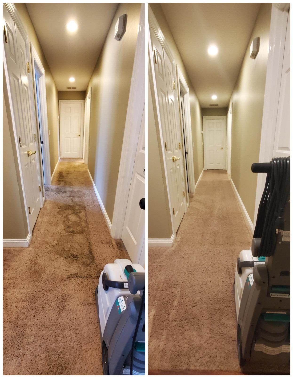 BISSELL Big Green PET PRO Carpet Cleaner, XL DirtLifter PowerBrush customer photo 1