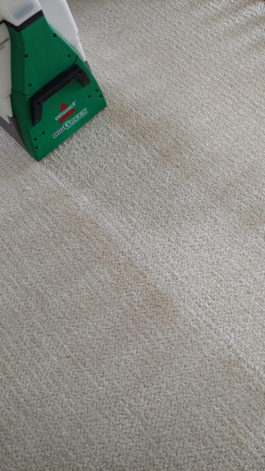 BISSELL Big Green PET PRO Carpet Cleaner, XL DirtLifter PowerBrush customer photo 2