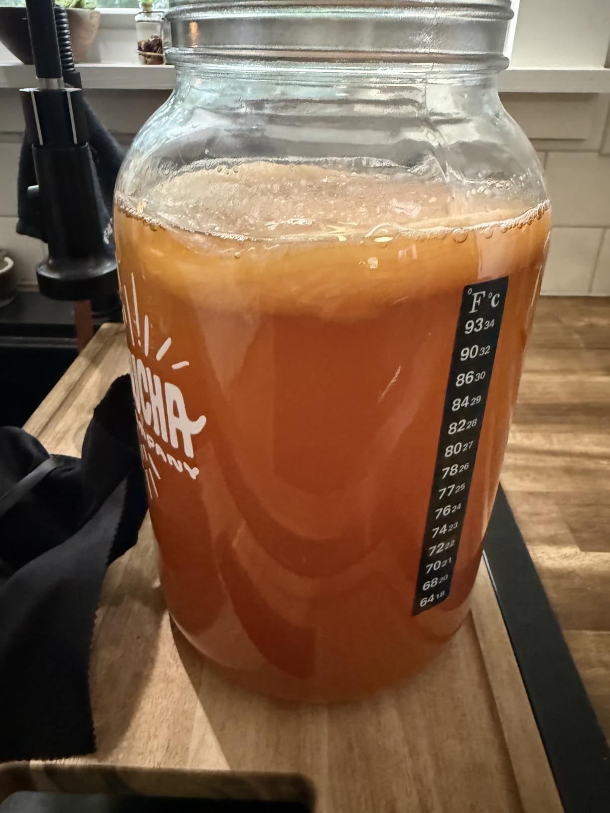 Kombucha Home Brewing Starter Kit | 5-Inch Large Scoby | Complete Kit with 16 oz Starter Tea, Brewing Jar & Supplies | Brew Unlimited Kombucha customer photo 1