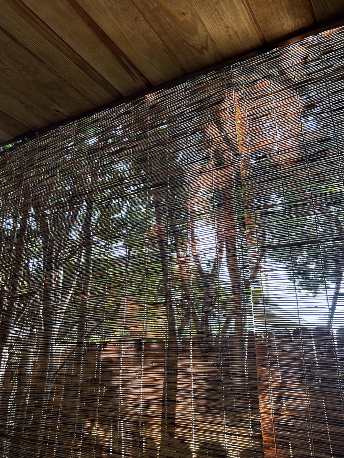 Forever Bamboo Light-Filtering Cord-Free Bamboo Reed Roll-Up Blind Shades for Windows Manual Roman Blinds Coffee 48 in W x 72 in H customer photo 2