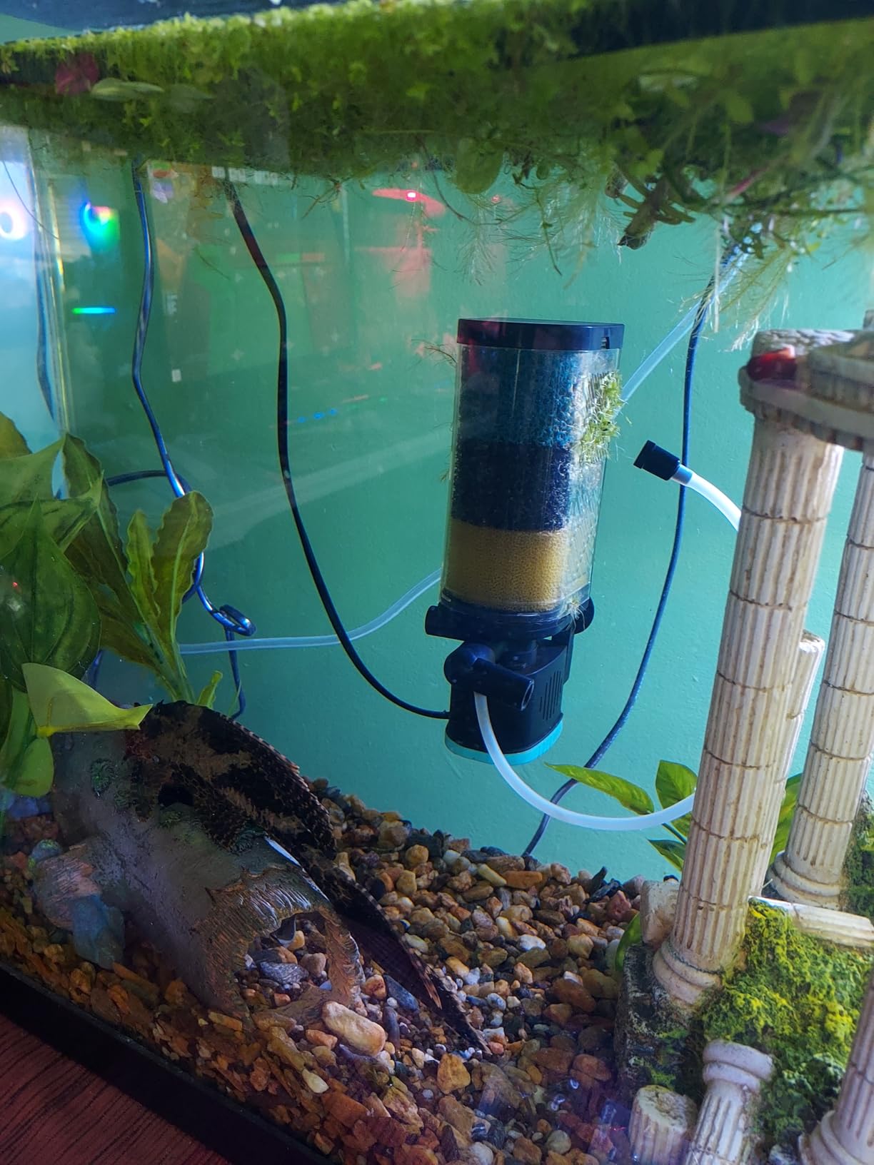 AquaMiracle Aquarium Filter 3-Stage in-Tank Filter Internal Fish Tank Filter Turtle Filter for 10-40 Gallon Fish Tanks with Dual Water Outlet & Aeration customer photo 1