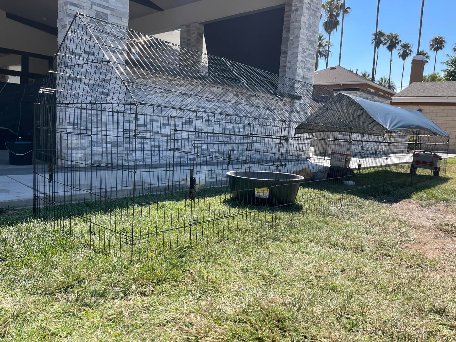Chicken Coop, 130x40x40 inch Chicken Run Pen with Cover for Yard | Waterproof Sunshade Cover, Auto-lock Door, Ground Stake, Metal Portable Chicken Tractor for Poultry, Rabbits & Small Animals customer photo 1