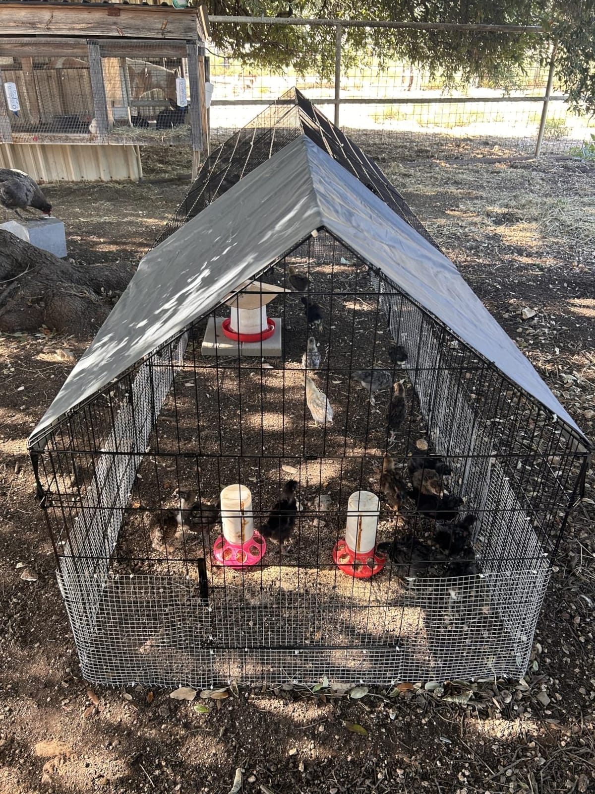 Chicken Coop, 130x40x40 inch Chicken Run Pen with Cover for Yard | Waterproof Sunshade Cover, Auto-lock Door, Ground Stake, Metal Portable Chicken Tractor for Poultry, Rabbits & Small Animals customer photo 2