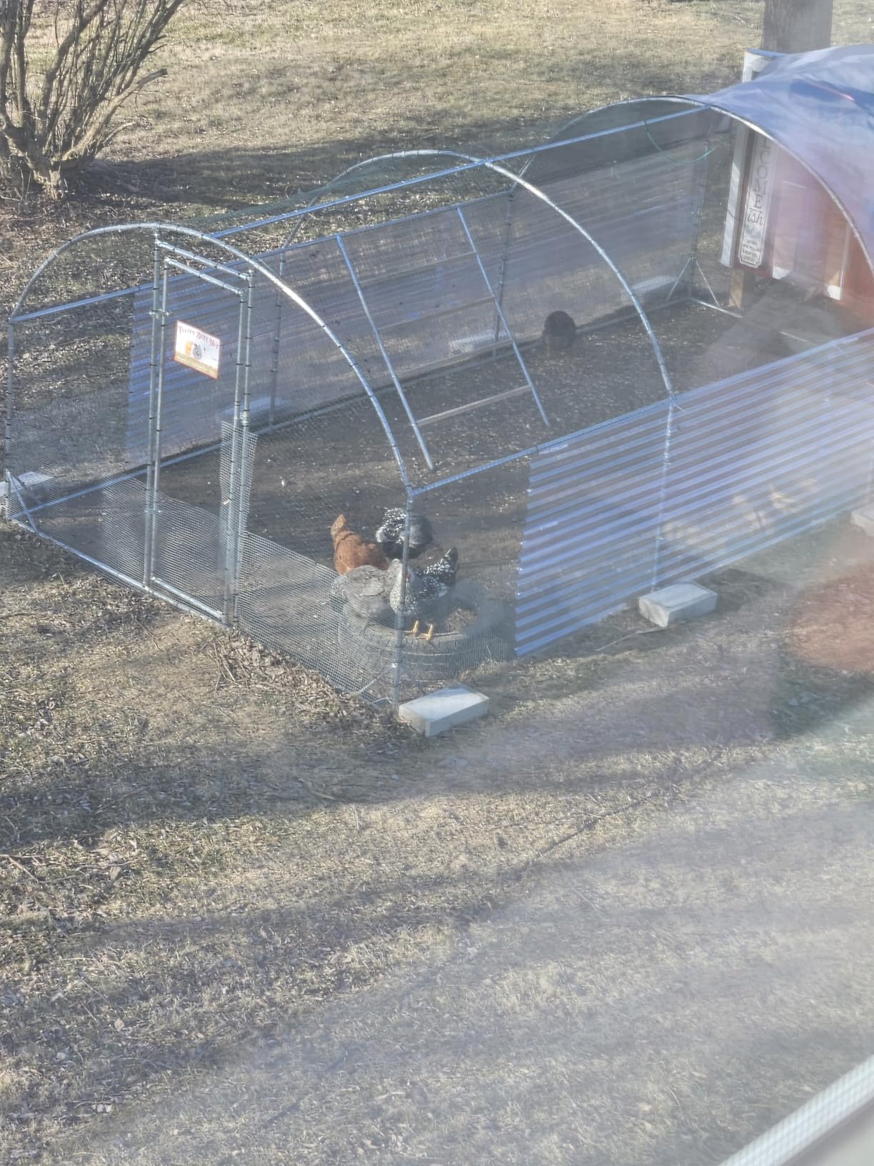Large Metal Chicken Coop Round Top Upgrade Tri-Supporting Wire Mesh Chicken Run,Chicken Pen with Water-Resident and Anti-UV Cover,Duck Rabbit House Outdoor(19'L x 9'W x 6.5'H) customer photo 2