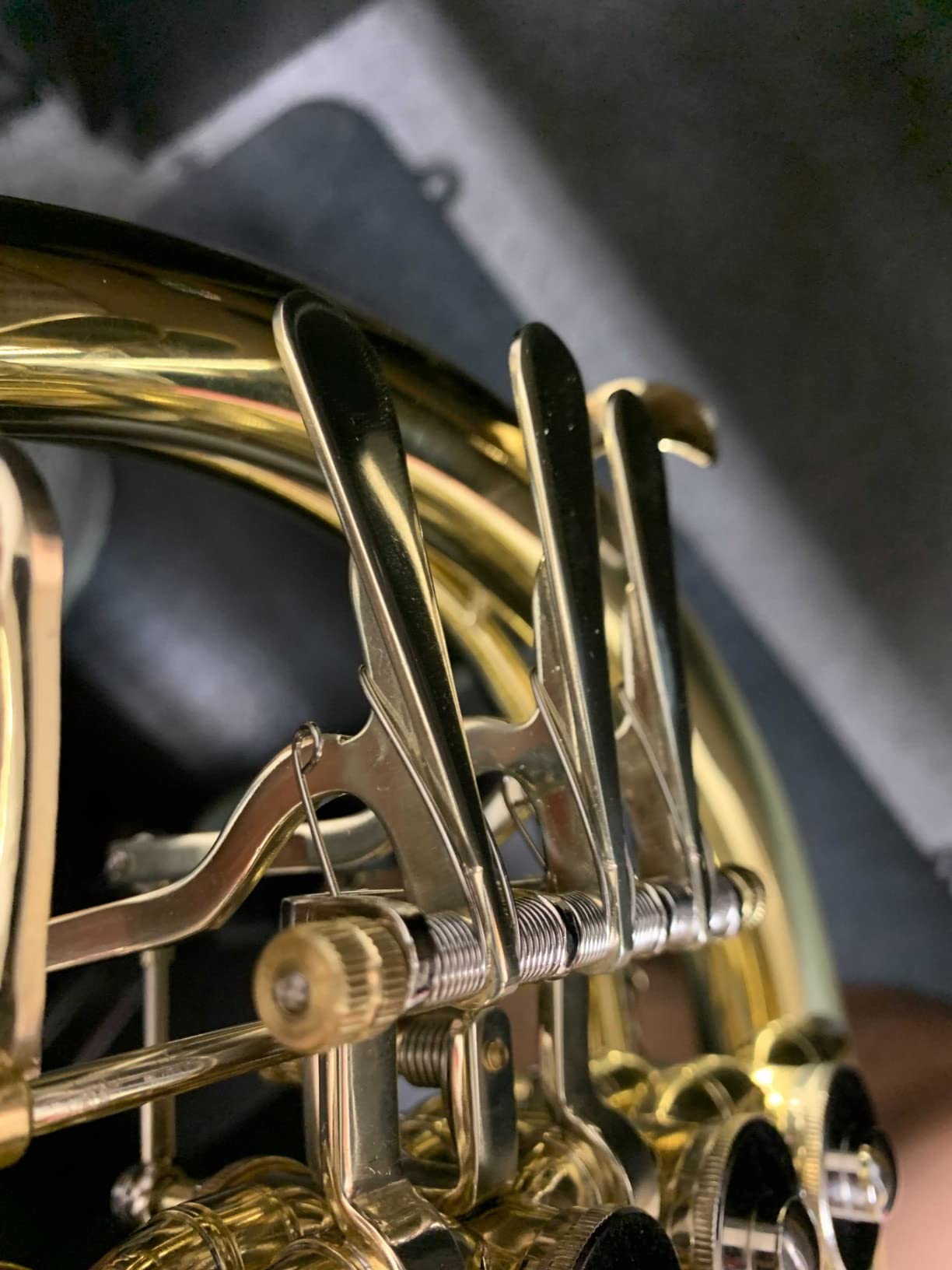 ROWELL Double French Horn, F/Bb 4 keys Intermediate French Horn,Gold Lacque F French Horn With Case, Mouthpiece Gloves and Polishing Cloth customer photo 1