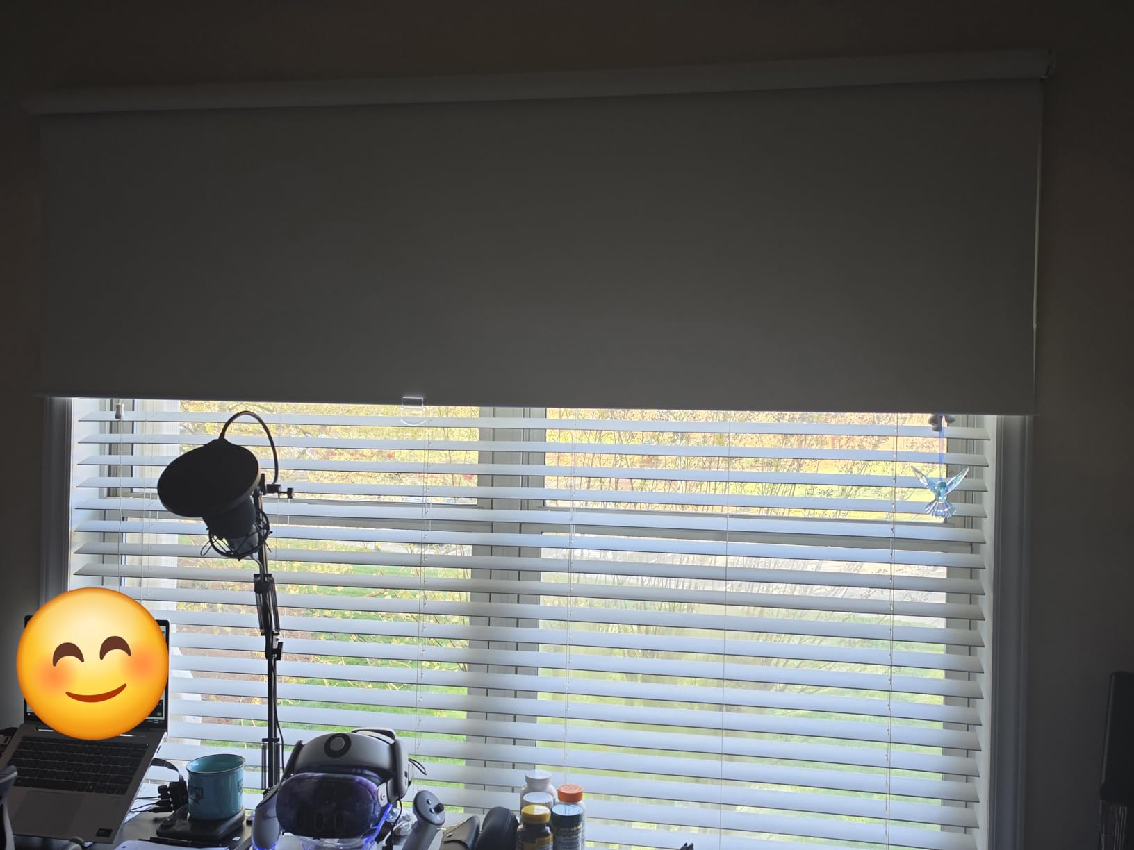 AOSKY Blackout Cordless Roller Shade for Indoor Windows, 23