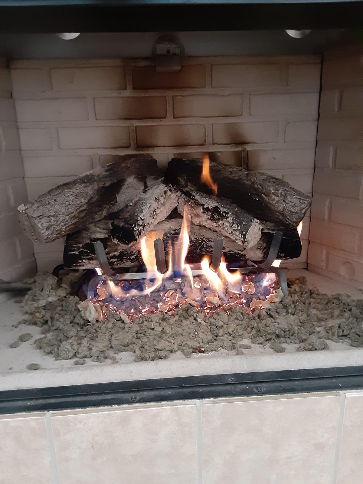 Real Fyre Live Oak 24