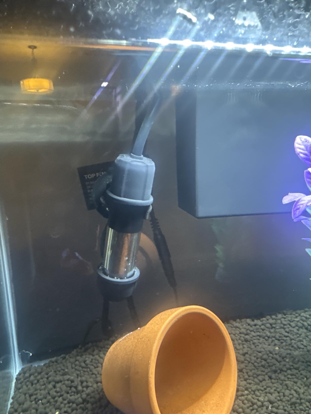 hygger Small Aquarium Betta Heater, Submersible Fish Tank Heater 10W/25W/50W/100W with LED Digital Display, Suitable for Marine Saltwater and Freshwater up to 5/10/16/26 Gallon customer photo 1