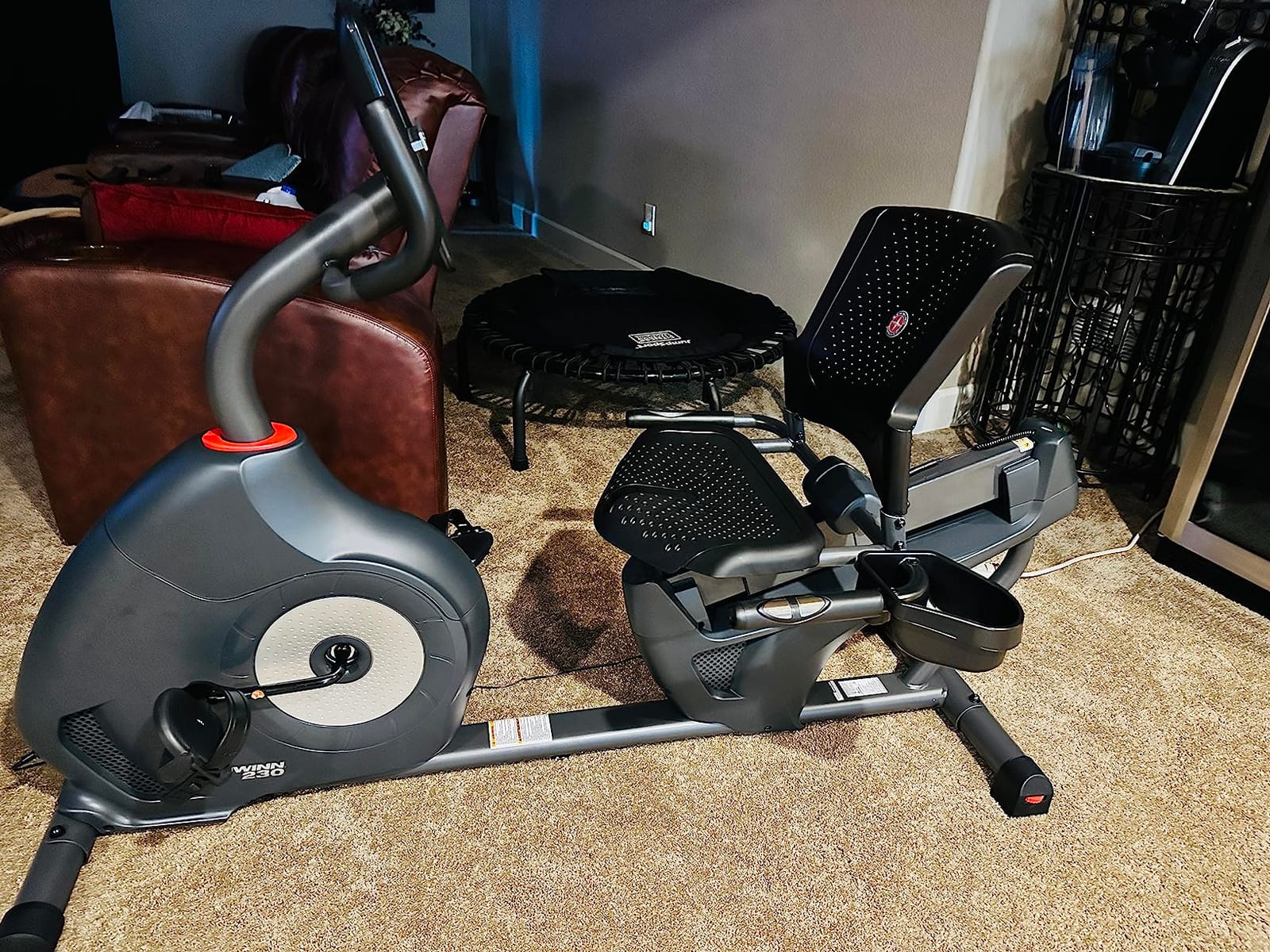 Schwinn Fitness Recumbent Bike Series (290) customer photo 1