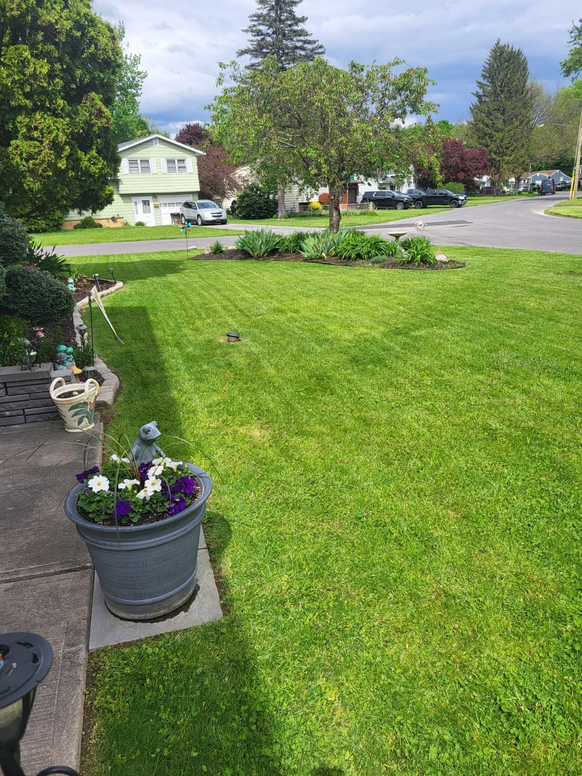 EGO Power+ Electric Lawn Mower, Self-Propelled Cordless with Touch Drive, Includes 56V 7.5Ah Battery and Rapid Charger - LM2125SP customer photo 1
