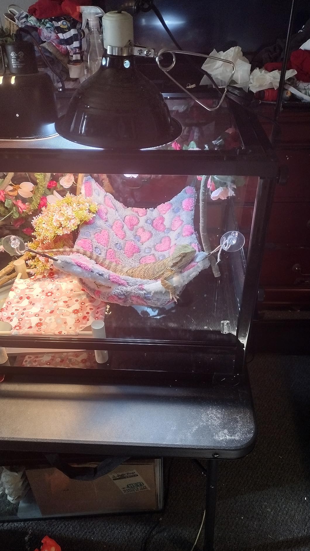Zilla QuickBuild Reptile 65 Gallon Glass Terrarium, 48