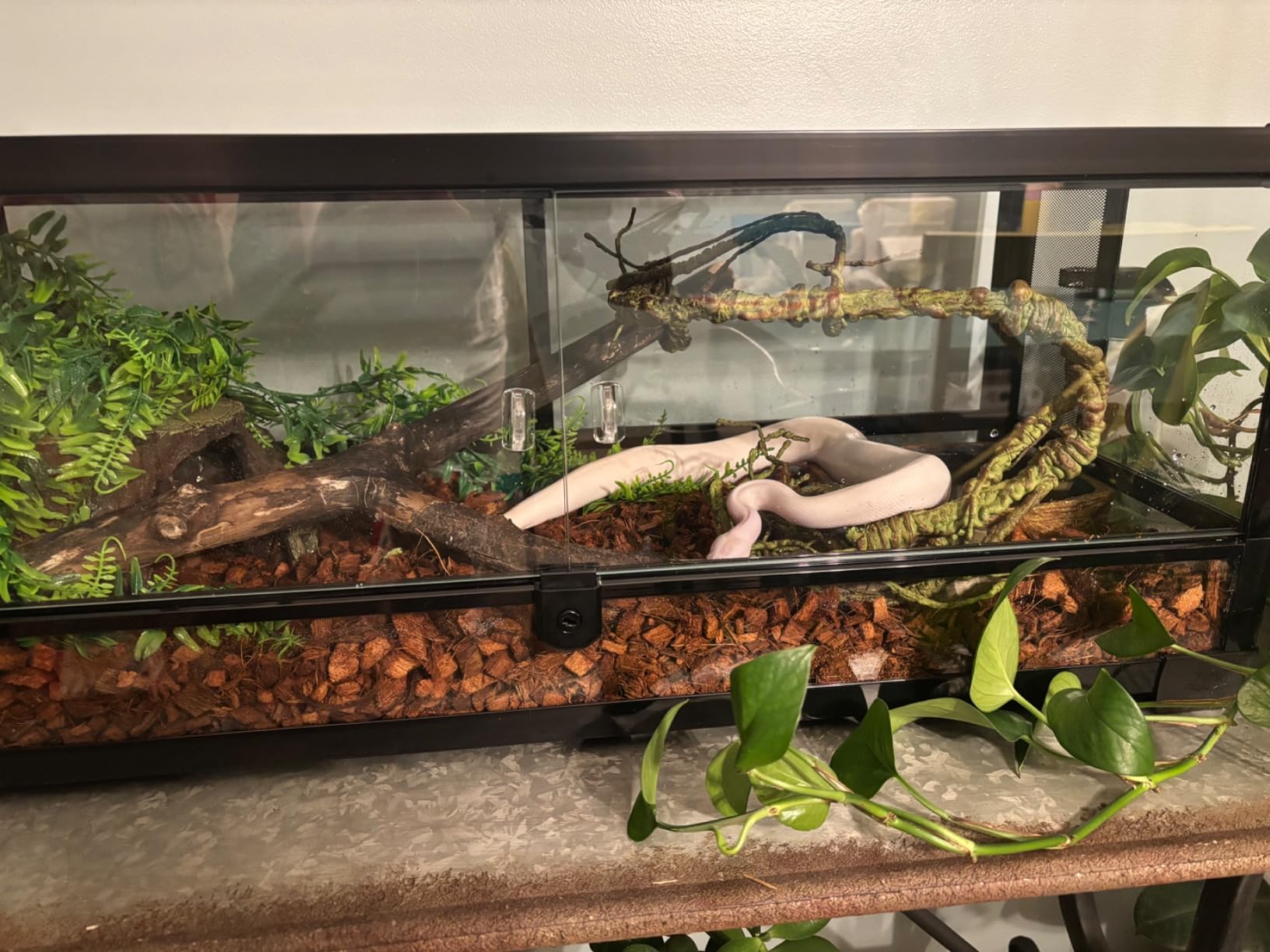 Zilla QuickBuild Reptile 65 Gallon Glass Terrarium, 48