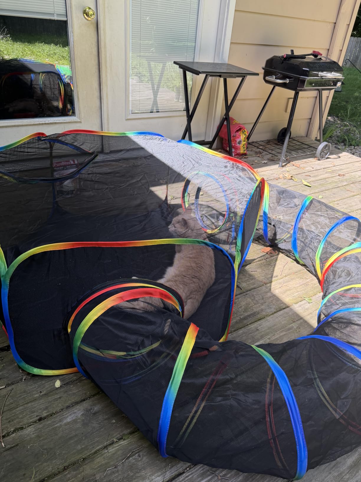Portable Cat Enclosure - 2-in-1 Outdoor Catio with Tent & Tunnel, Foldable Playpen for Indoor Cats, Includes Storage Bag for Cats & Small Animals Rainbow Color customer photo 2