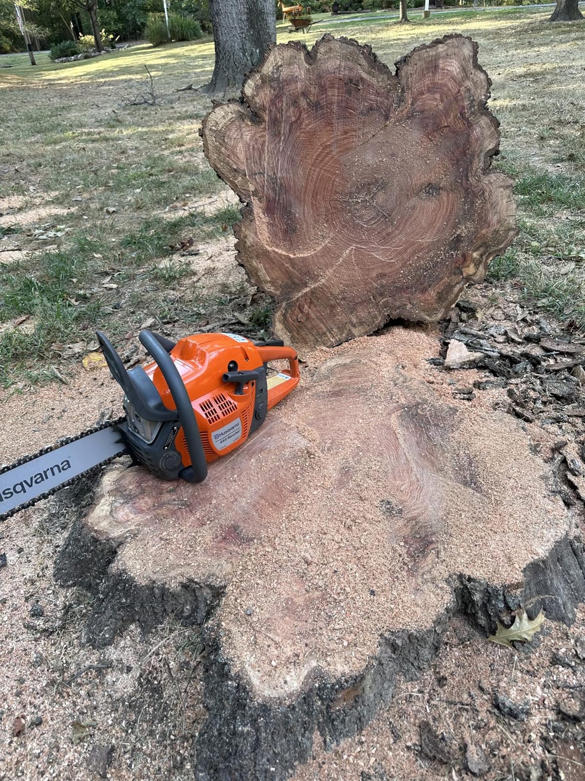 Husqvarna 455 Rancher Gas Chainsaw, 55-cc 3.5-HP, 2-Cycle X-Torq Engine, 20 Inch Chainsaw with Automatic Oiler customer photo 1