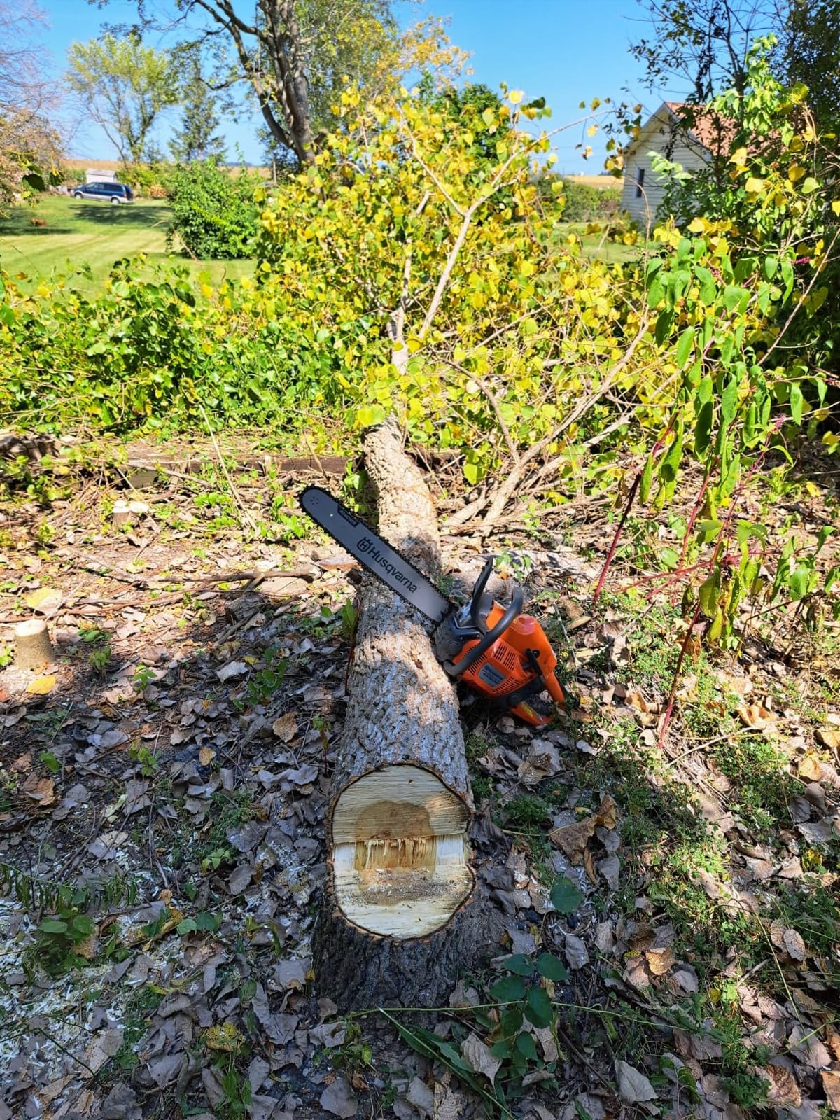 Husqvarna 455 Rancher Gas Chainsaw, 55-cc 3.5-HP, 2-Cycle X-Torq Engine, 20 Inch Chainsaw with Automatic Oiler customer photo 2