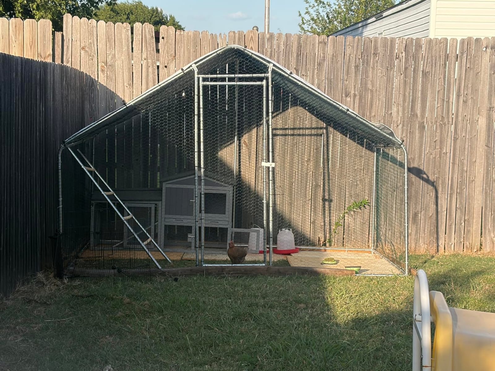 CHIKENCOOP 9.8 x 6.5 x 6.5 ft Metal Chicken Coop, Chicken Run with Cover | Walk-in outdoor enclosure with waterproof UV-resistant cover, reinforced frame, and 47 x 40 in eucalyptus perch customer photo 1