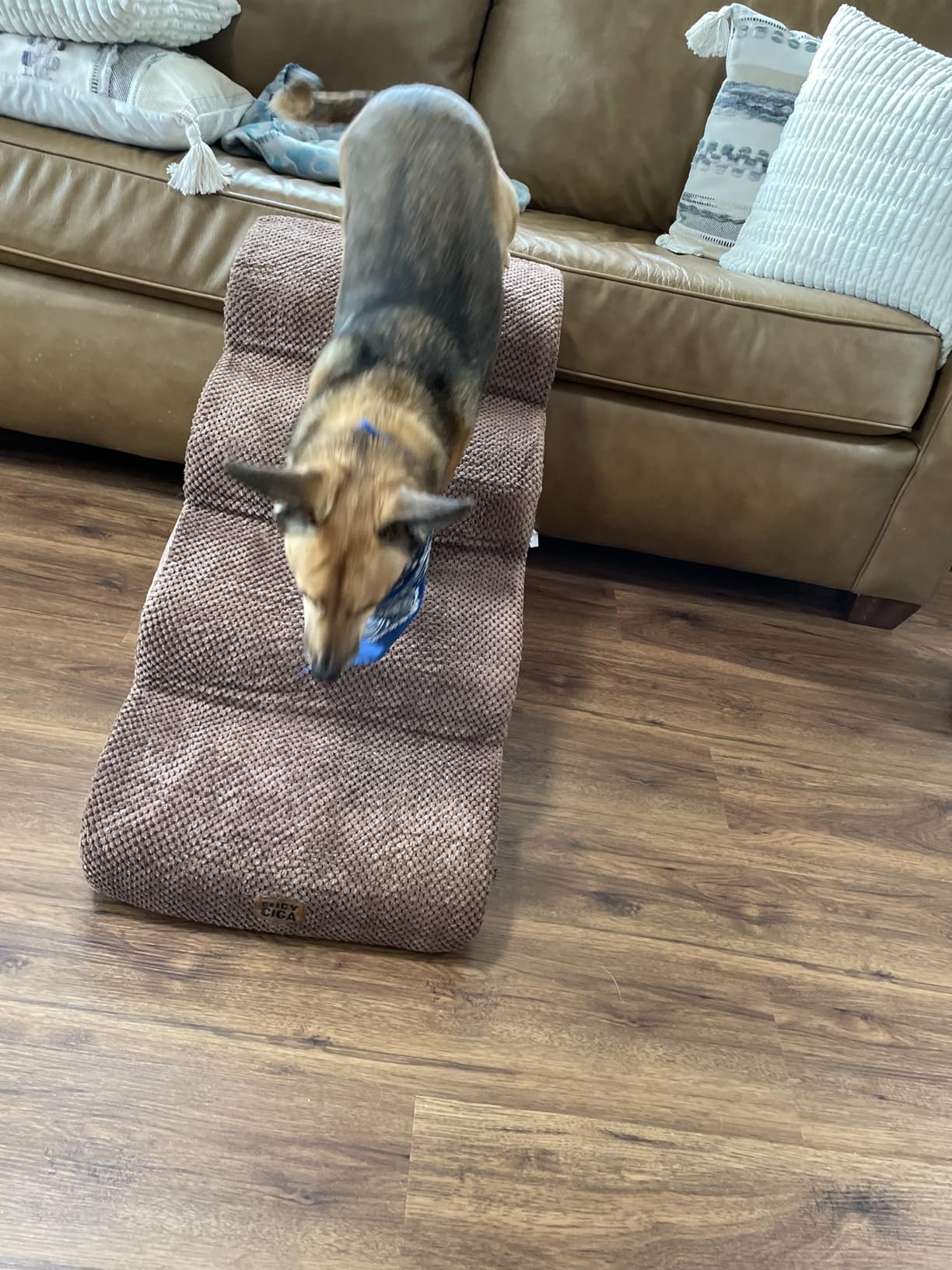 EHEYCIGA Curved Dog Stairs Ramp, 4-Step High Beds, 19.7